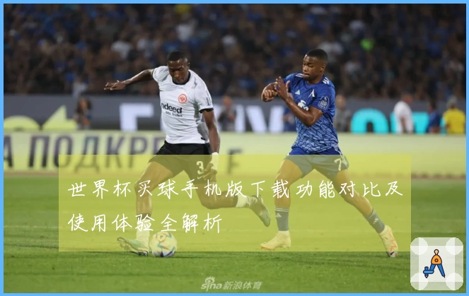 世界杯买球手机版下载功能对比及使用体验全解析