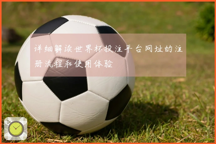 详细解读世界杯投注平台网址的注册流程和使用体验