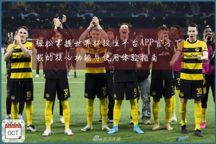 轻松掌握世界杯投注平台APP官方下载的核心功能与使用体验指南