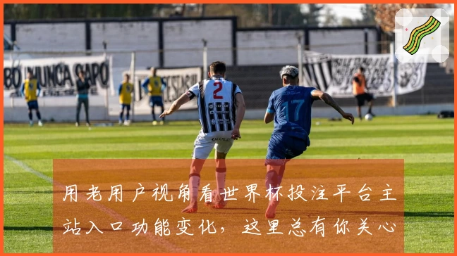 用老用户视角看世界杯投注平台主站入口功能变化，这里总有你关心的。