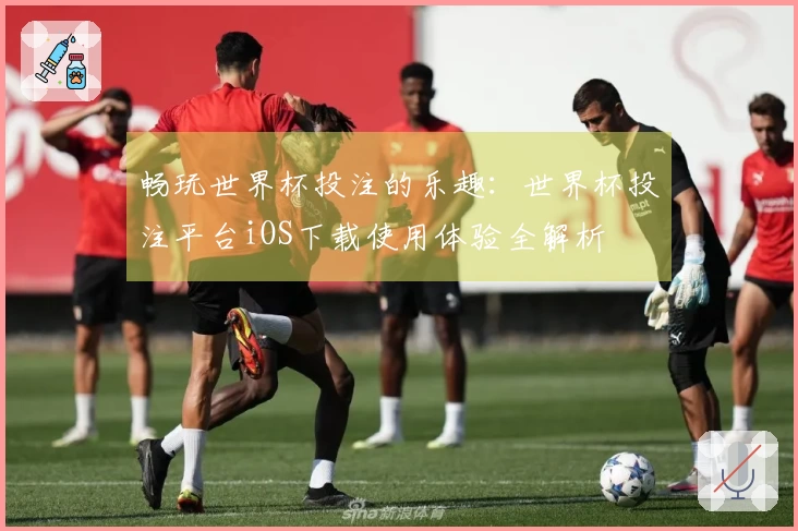 畅玩世界杯投注的乐趣:世界杯投注平台iOS下载使用体验全解析