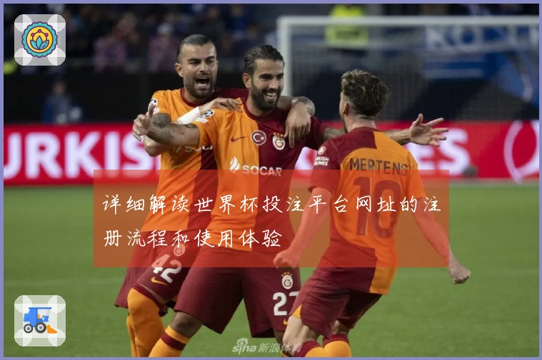 详细解读世界杯投注平台网址的注册流程和使用体验