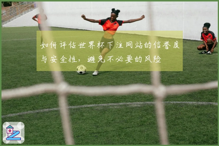 如何评估世界杯下注网站的信誉度与安全性，避免不必要的风险