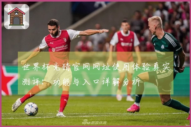 世界杯竞猜官网网址使用体验真实测评：功能与入口详解分析